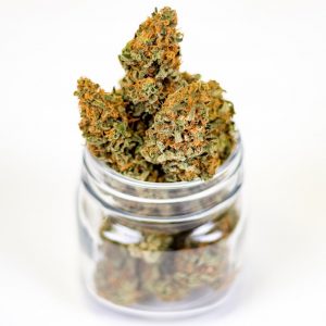 Wie wahrscheinlich ist die Cannabis-Legalisierung?