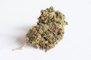 Cannabis Legalisierung 2023